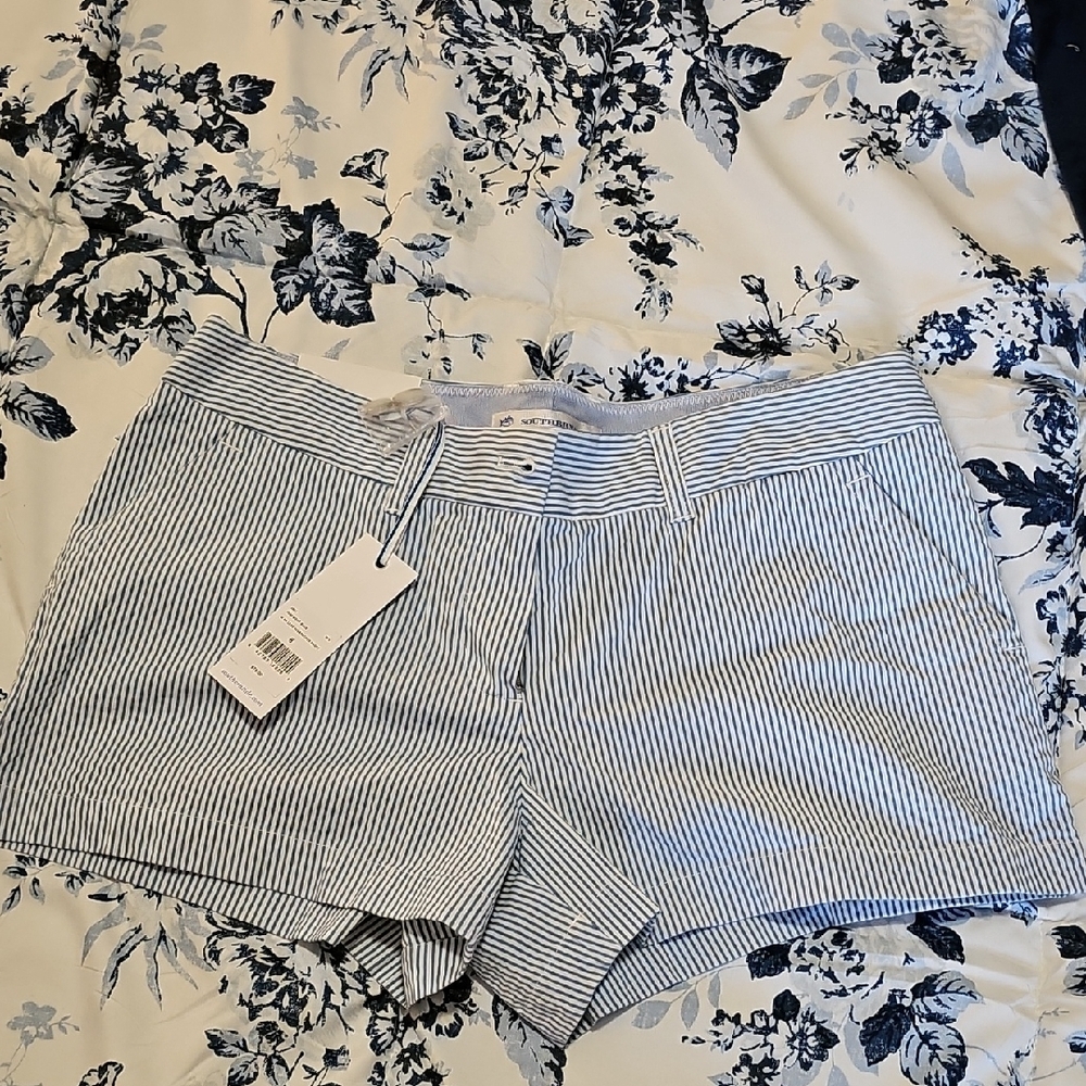 Women's Blue Striped Shorts